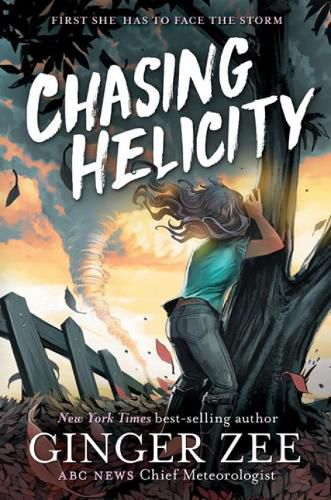 Cover image for Chasing Helicity: Facing the Storm