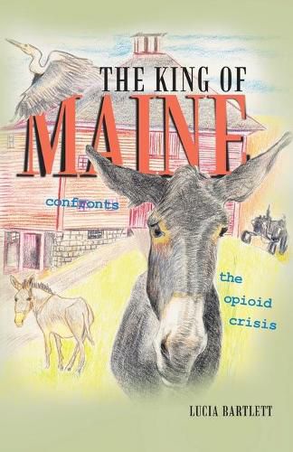 Cover image for The King of Maine