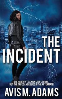 Cover image for The Incident