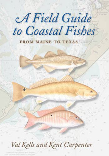 A Field Guide to Coastal Fishes: From Maine to Texas