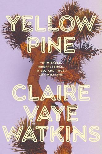 Cover image for Yellow Pine