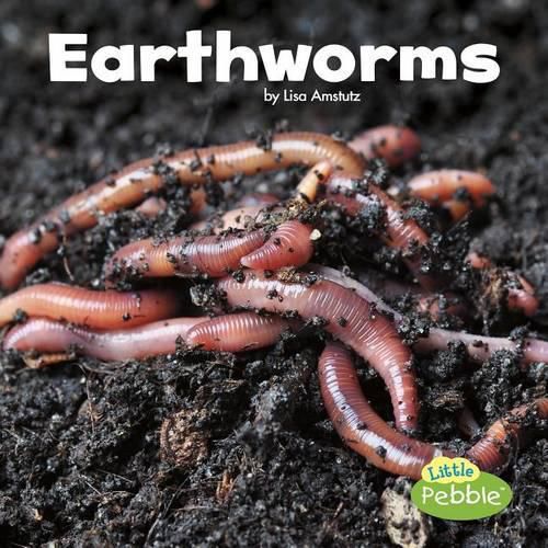 Cover image for Earthworms (Little Critters)