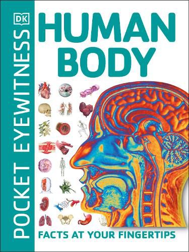 Pocket Eyewitness Human Body: Facts at Your Fingertips