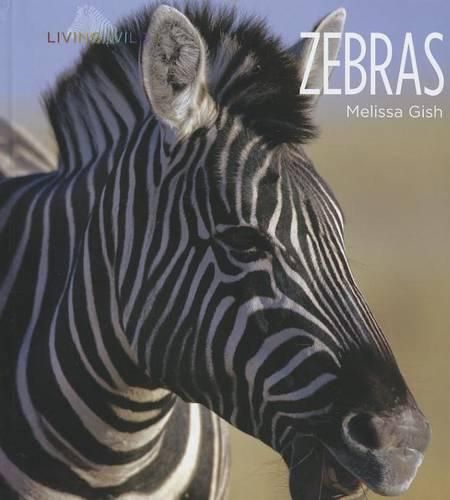 Zebras