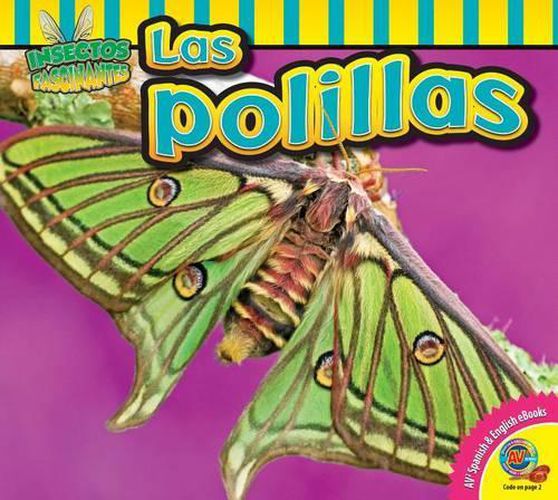 Cover image for Las Polillas