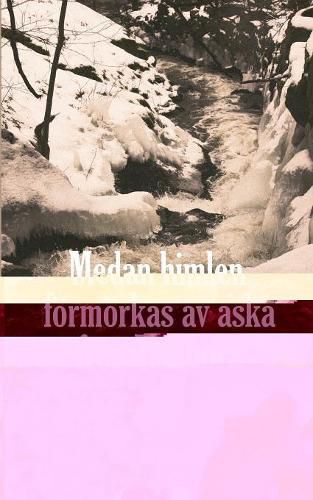 Cover image for Medan himlen foermoerkas av aska fran Tambora