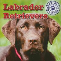 Cover image for Labrador Retrievers