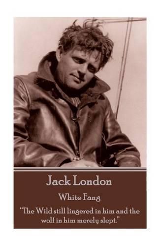 Cover image for Jack London - White Fang: The Wild still lingered in him and the wolf in him merely slept.