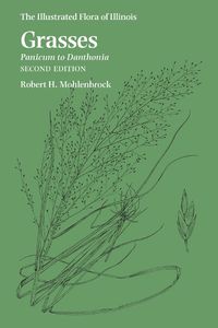 Cover image for Grasses: Panicum to Danthonia