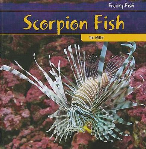 Scorpion Fish