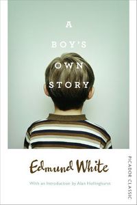 Cover image for A Boy's Own Story