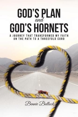 Cover image for God's Plan and God's Hornets: A Journey That Transformed My Faith on the Path to a Threefold Cord