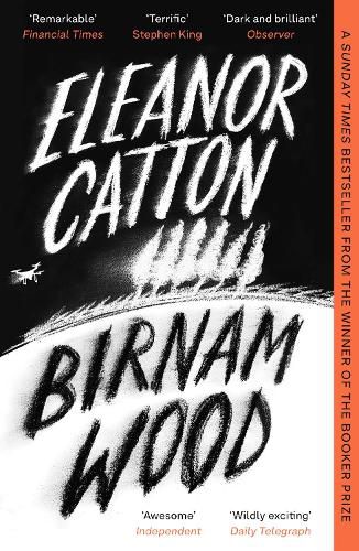 Cover image for Birnam Wood