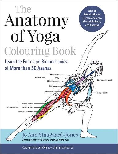 Cover image for The Anatomy of Yoga Colouring Book: Learn the Form and Biomechanics of More than 50 Asanas