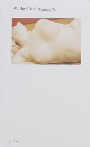 Cover image for We Have Been Meaning To