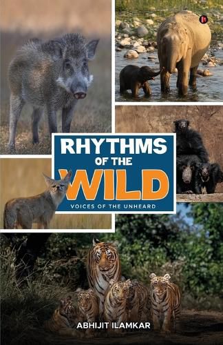 Cover image for Rhythms of the Wild