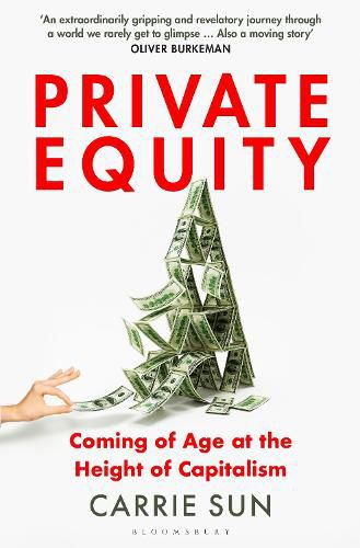 Cover image for Private Equity