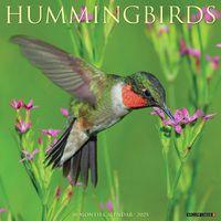 Cover image for Hummingbirds 2025 12 X 12 Wall Calendar