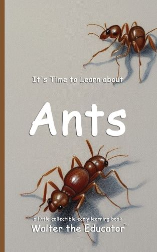 Cover image for It's Time to Learn about Ants