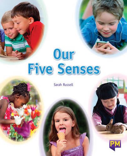 Our Five Senses