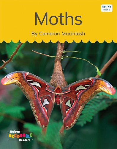 Moths (Set 7.2, Book 9)