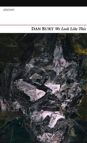 Cover image for We Look Like This