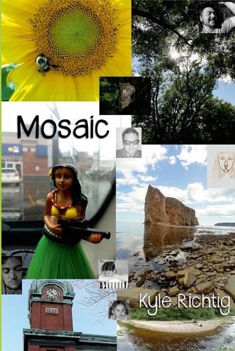 Cover image for Mosaic