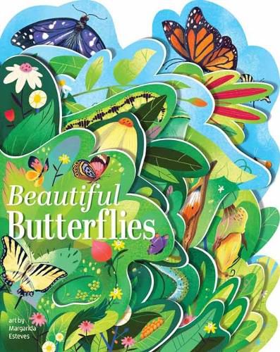 Cover image for Beautiful Butterflies