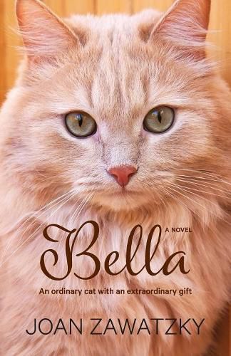 Cover image for Bella: An Ordinary Cat with an Extraordinary Gift