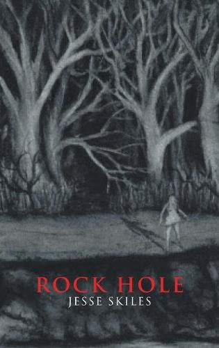 Cover image for Rockhole