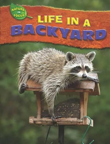 Cover image for Life in a Backyard