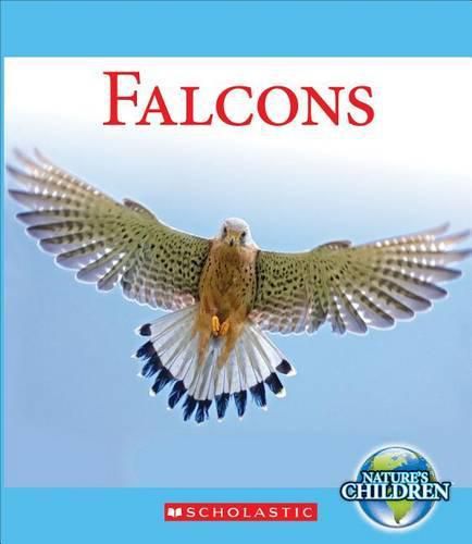 Cover image for Falcons