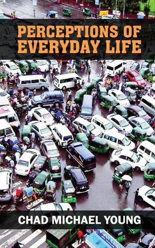 Cover image for Perceptions of Everyday Life