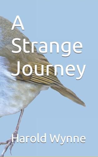 Cover image for A Strange Journey