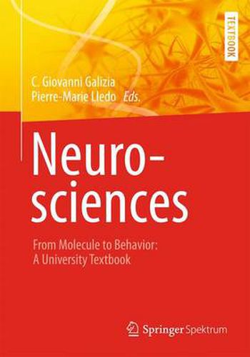 Cover image for Neurosciences - From Molecule to Behavior: a university textbook
