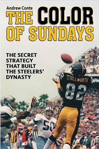 Cover image for The Color of Sundays