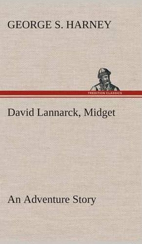 Cover image for David Lannarck, Midget An Adventure Story