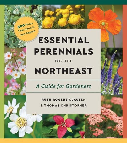 Cover image for Perennials for the Northeast