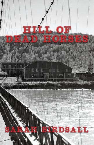 Cover image for Hill of Dead Horses