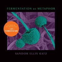 Cover image for Fermentation as Metaphor: From the Author of the Bestselling  The Art of Fermentation