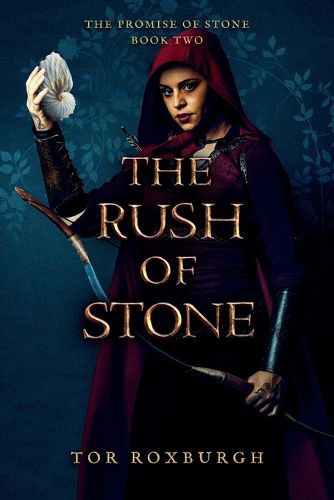 Cover image for The Rush of Stone