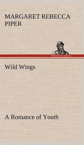 Wild Wings A Romance of Youth