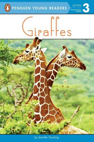 Cover image for Giraffes