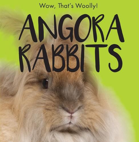 Cover image for Angora Rabbits