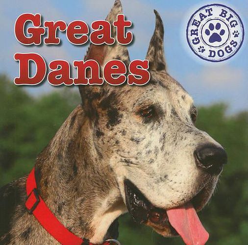 Great Danes