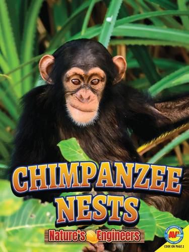Cover image for Chimpanzee Nests