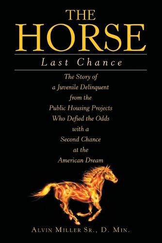 Cover image for The Horse: Last Chance