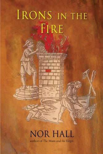 Cover image for Irons in the Fire