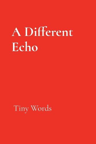 Cover image for A Different Echo