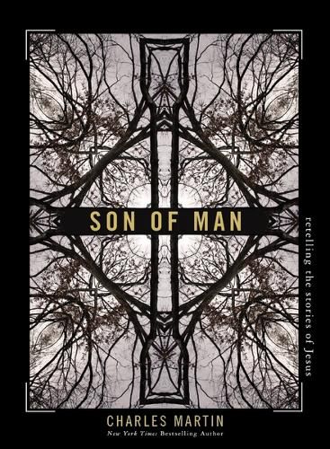 Cover image for Son of Man: Retelling the Stories of Jesus